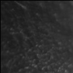 Dharma In A Time Of Crisis – Israel / Palestine