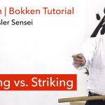Cutting vs. Striking With The Bokken