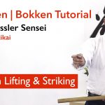 Aikido Bokken Lifting & Striking