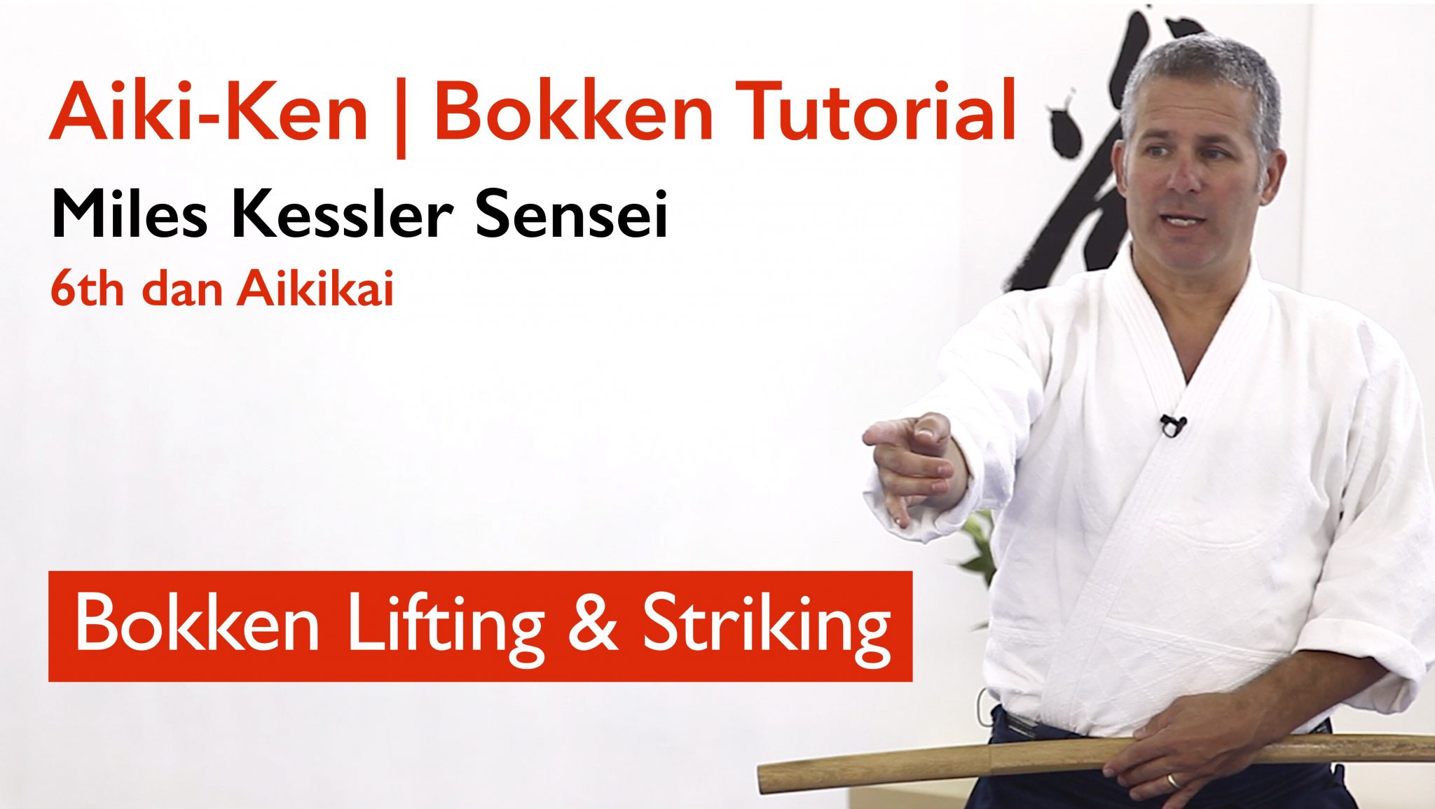 Aikido Bokken Lifting & Striking - The Integral Dojo