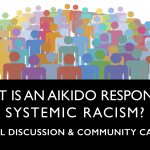 What Is An Aikido Response To Systemic Racism?