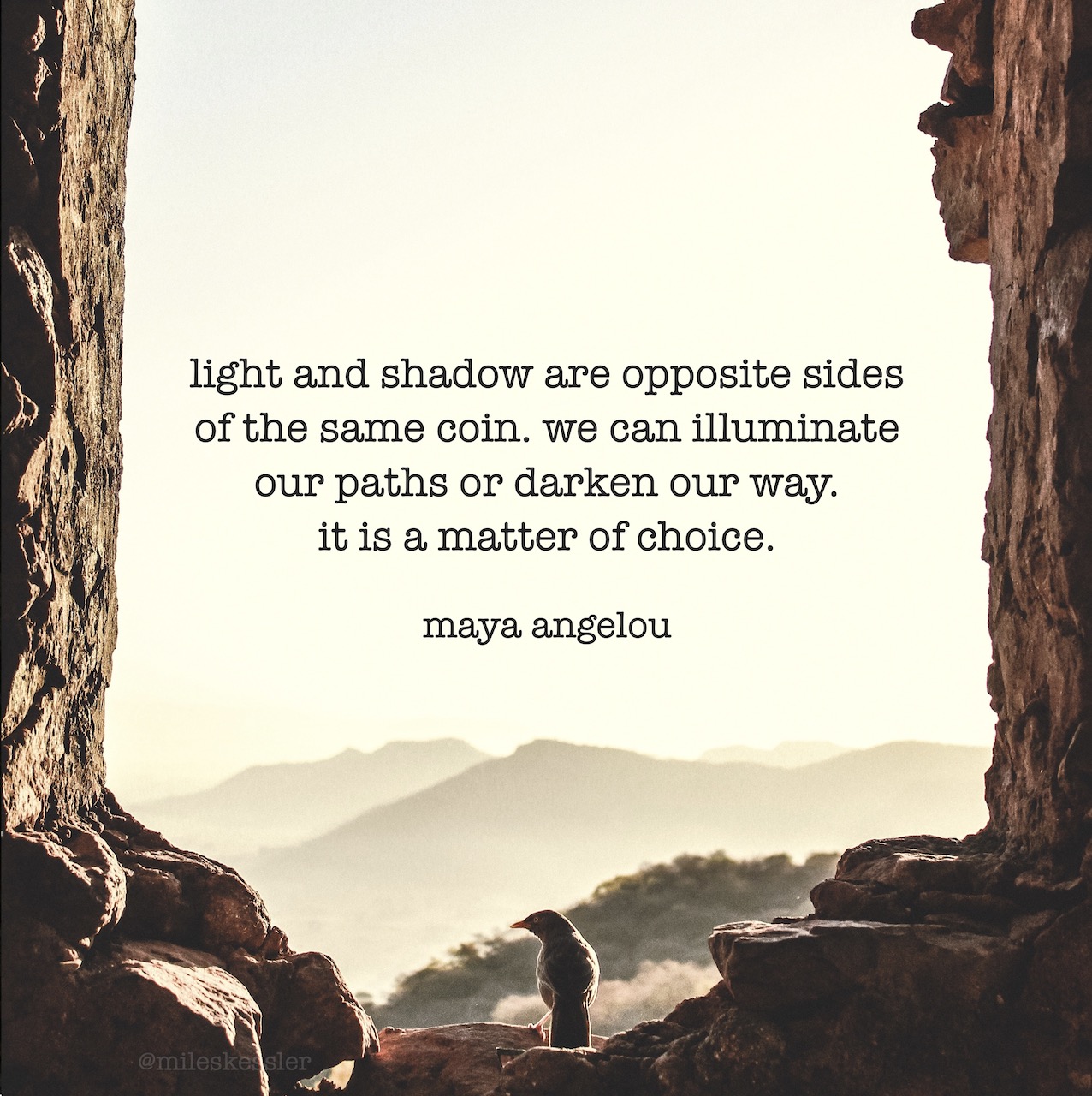 “Light and shadow are opposite sides of the same coin. We can illuminate our paths or darken our way. It is a matter of choice.” – Maya Angelou
